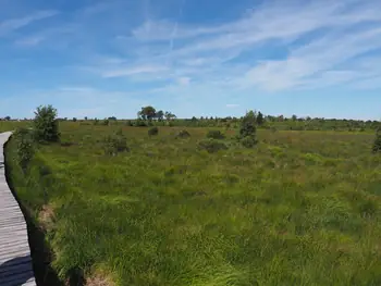 Signal de Botrange (Belgium)